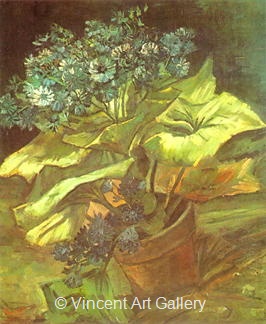 Cineraria in a Flowerpot by Vincent van Gogh