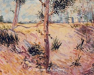 Trees in a Field on a Sunny Day by Vincent van Gogh