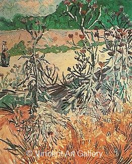 Thistles by Vincent van Gogh