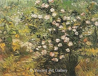 Rosebush in Blossom by Vincent van Gogh