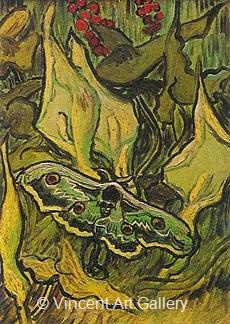 Death's-Head Moth by Vincent van Gogh