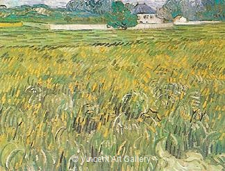 Wheat Fieldat Auvers with White House by Vincent van Gogh