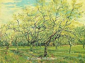 The White Orchard by Vincent van Gogh