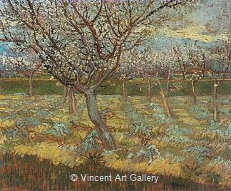 Apricot Trees in Blossom by Vincent van Gogh