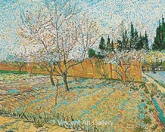 Orchard with Peach Trees in Blossom by Vincent van Gogh