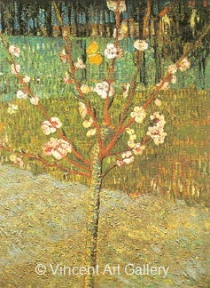 Almond Tree in Blossom by Vincent van Gogh