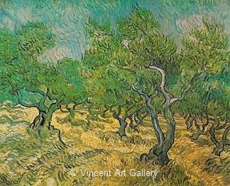 Olive Grove by Vincent van Gogh