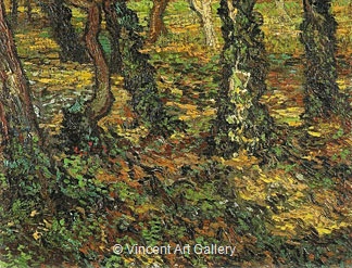 Tree Trunks with Ivy by Vincent van Gogh