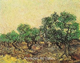 Olive Picking by Vincent van Gogh